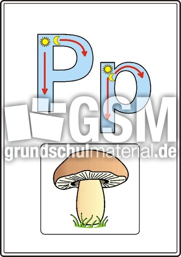 Druck-Bay-P.pdf